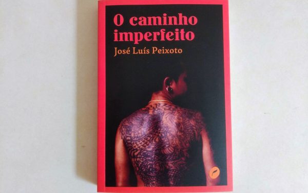 [RESENHA] O CAMINHO IMPERFEITO, DE JOSÉ LUÍS PEIXOTO